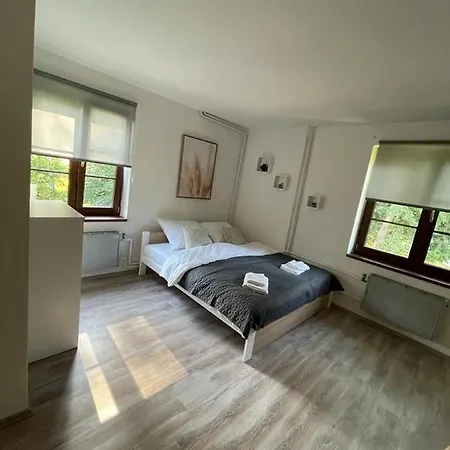 Guest house Penzion Permon Chribska