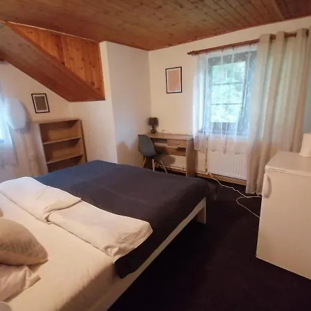 Guest house Penzion Permon Chribska
